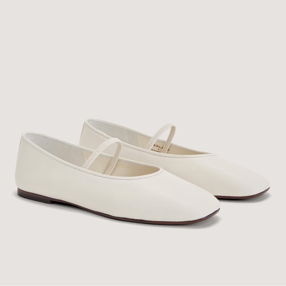 Brand New Everlane Day Mary Jane in Canvas